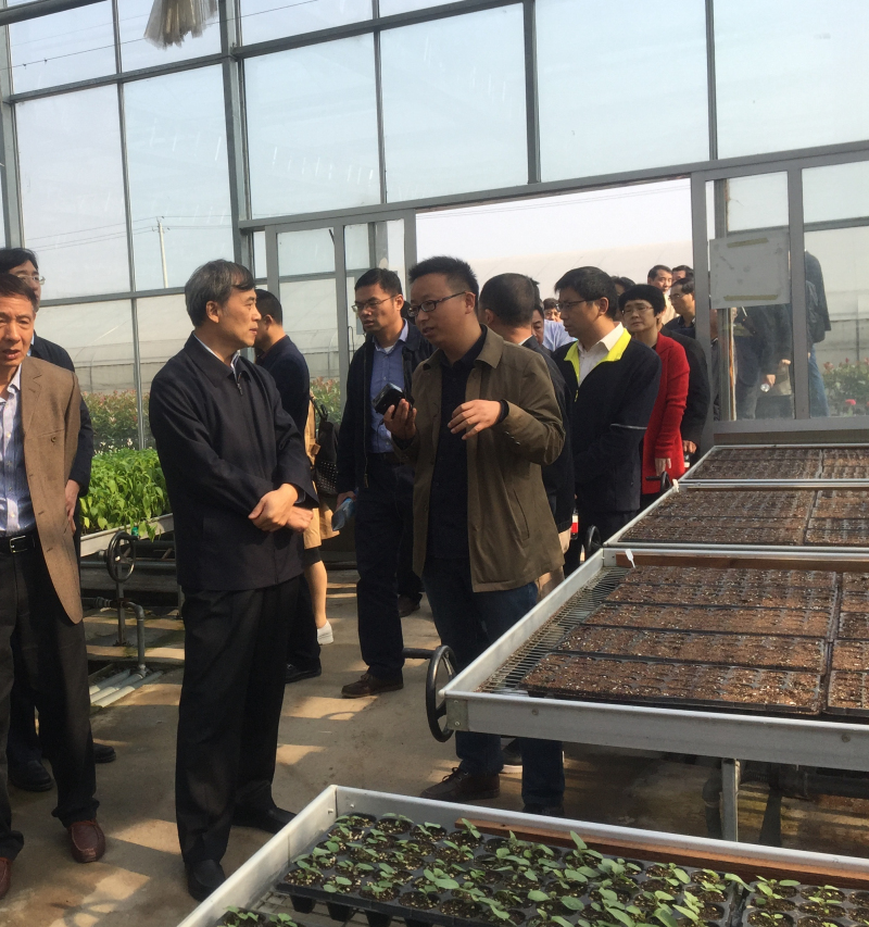 李春生肯定浙農現(xiàn)代農業(yè)社會化服務模式