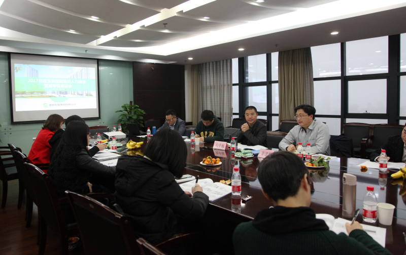 集團(tuán)召開2017年度人力資源管理座談會