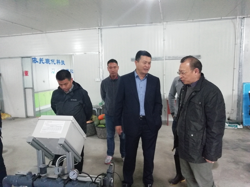 中國農(nóng)資流通協(xié)會秘書長符純?nèi)A調研瓶窯基地