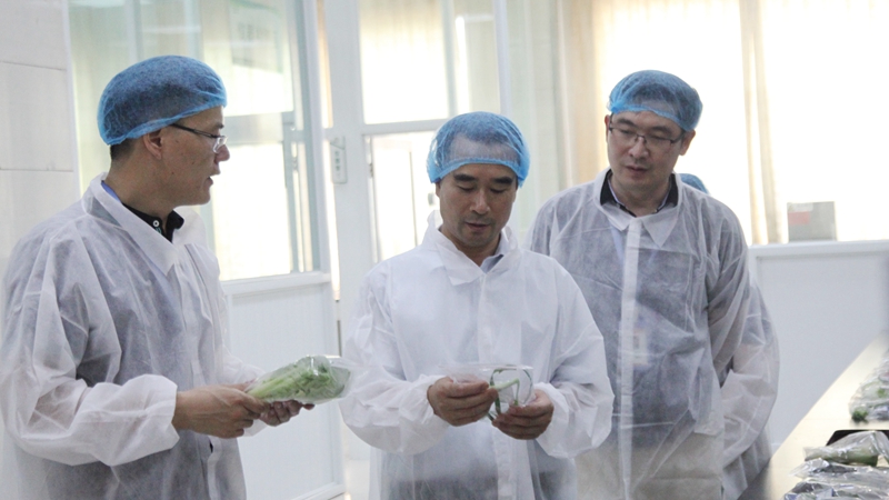 紹興市教育局、市場監(jiān)管局領(lǐng)導(dǎo)赴浙農(nóng)茂陽督查食品安全工作