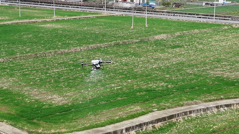 浙農淳安農服中心科技服務賦能農業生產獲浙江衛視報道