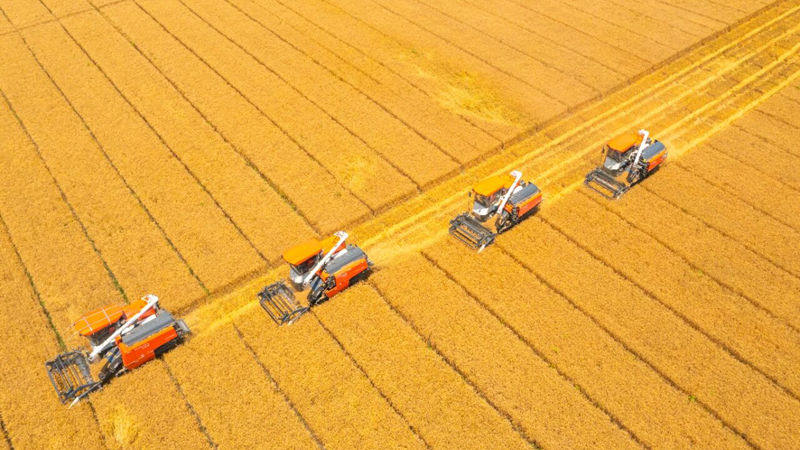 浙農(nóng)股份多家成員企業(yè)入選供銷合作社骨干龍頭企業(yè)培育名錄