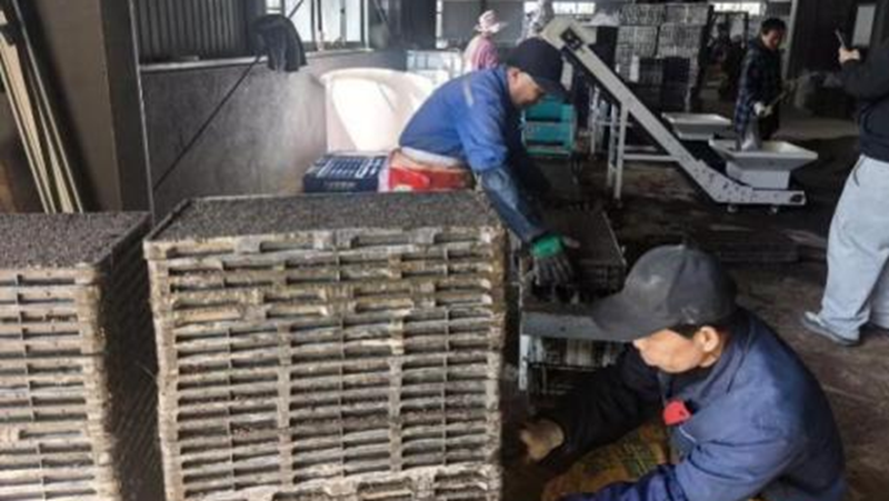 浙農科技：緊抓農時備春耕 多措并舉促豐收